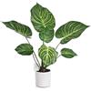Leflos 68cm Monstera artificiale per interni, pianta sempreverde realistica a foglia di zebra in vaso bianco, decorazione per soggiorno, ufficio, festa e celebrazione