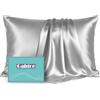 Gabire Federa in seta di gelso, per prevenire l'acne su entrambi i lati, federa in vera seta biologica, con cerniera nascosta, grigio argento, standard (50,8 x 66,8 cm)