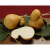 valle santa Scamorza appassita affumicata di latte di bufala e vacca 4 pz 920 gr (L483)