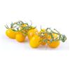 ALMA FOOD POMODORINI DATTERINI GIALLI CAMPANI-DA CIRCA 1,5 KG