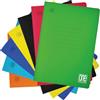 Generico 3 x - Maxi Quaderno b lasetti c/copertina in ppl rig.B | Blasetti: carta FSC 80gr, copertina polipropilene resistente, Jolly Page inclusa, colori assortiti, conf. da 10.