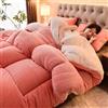 MTHGH Piumone Matrimoniale Invernale,Trapunta in Pile Double-Face Spessa E Calda,Coperta Addensare Fluffy Inverno Piumino Spesso Morbida E Calda(03,200 * 230m/3kg)