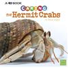Tammy Gagne Expert Pet Care Caring for Hermit Crabs a 4D Book (Tascabile)
