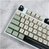 SOLIDEE Keycaps PBT Double Shot Profilo SA Set 175 Tasti,Copritasti Tastiera Meccanica,Thick PBT Keycaps per Switch Cherry MX,con Tastiere Meccaniche Layout 60% 65% 75% TKL 100%(Matcha)