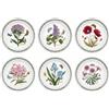 PORTMEIRION BOTANIC GARDEN PIATTO FRUTTA 20 CM 6 PZ BG05072