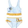 CERDÁ LIFE'S LITTLE MOMENTS Bikini per Bambini Bluey Baby And Toddler Two Piece Bikini Bambine e Ragazze
