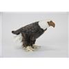 HANSA NUOVO PELUCHE HANSA aquila calva BH5616 20 cm