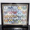 pokemon center spille originali collezione Vivillon AB set completo 20 tipi...