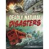 Steve Foxe Deadly Natural Disasters (Tascabile) True Survival Graphics