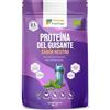 Energy Feelings Proteine di Piselli in Polvere BIO 500g | 82% Proteine Vegetali | Proteine Vegane Massa Muscolare e Dimagrire | Senza Zuccheri Aggiunti, Lattosio né Glutine