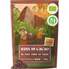 NaturaleBio Cacao Nibs Bio Crudi Alternativa alle Gocce | 200 g. Cacao nibs puri da cacao Theobroma per smoothie, bowl, dolci e snack.
