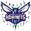 Iconic Puzzles Puzzle iconici - Charlotte Hornets, logo, puzzle in legno, prodotto con licenza ufficiale