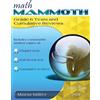 Maria Miller Math Mammoth Grade 6 Tests and Cumulative Reviews (Tascabile)