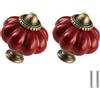 Zernmiarder Confezione da 6 pomelli a forma di zucca rosso ruggine, in ceramica, per cassetti e cassetti, antichi con viti, per armadi, cassetti, armadietti e progetti fai da te per la casa