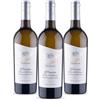 Tenuta Casale Milli Pecorino Terre d'Abruzzo IGT Vignevive, 3 bottiglie | fresco, sapido ed equilibrato; agrumi, fiori bianchi, freschezza e piacevole sapidità; Made in Italy; 13% vol