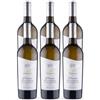 Tenuta Casale Milli Pecorino Terre d'Abruzzo IGT Vignevive, 6 bottiglie | fresco, sapido ed equilibrato; agrumi, fiori bianchi, freschezza e piacevole sapidità; Made in Italy; 13% vol