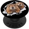 4PrairieDogsLovers Divertenti cani della prateria che fanno capolino simpatici amanti degli animali dello zoo PopSockets PopGrip Adesivo