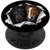 4PoniesLovers Divertente pony che sbircia carino zoo amante degli animali PopSockets PopGrip Adesivo