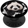 4PandaLovers Divertente panda che sbircia carino zoo amante degli animali PopSockets PopGrip Adesivo