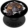 4PlatypusLovers Divertente ornitorinco che sbircia carino zoo amante degli animali PopSockets PopGrip Adesivo