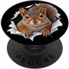 4SquirrelLovers Divertente scoiattolo che sbircia carino zoo amante degli animali PopSockets PopGrip Adesivo