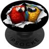 4ParrotsLovers Divertente pappagalli che sbirciano carino zoo amante degli animali PopSockets PopGrip Adesivo