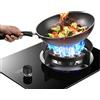 CHALKE Portable Gas Stove, 7.0KW 9-Cavity Wok, NG/LPG Convertible Gas Stove, Black Tempered Glass, Desktop Built-in Dual Purpose (Size : LPG)