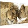 Runa Art Leoni Amore Quadri Soggiorno Grande Beige Animali Africa 120 x 80 cm 3 Pezzi Decorazione Murale 002131a