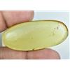 Gemsmyriad 100% Naturale Tanzania Giallo Ambra 27.90 CT Non Trattati Certificato S Insetto