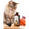 O³ Olio di salmone per gatti 100ml - NORVEGESE - Omega 3+6+9 e vitamina E | 100% naturale, spremuto a freddo, Antiossidante - Pratico erogatore (100ml Vetro)