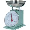 Plint - Bilancia da cucina Retro Leaf verde pastello