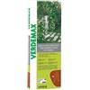 Verdemax Arco in ferro decorativo verde