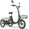 cysum KA1 triciclo elettrico per adulti, 16 pollici 3 ruote pieghevole bici elettrica, batteria al litio da 48 V 23 Ah, Autonomia di 100 km, 65 Nm, E-Trike con differenziale di velocità