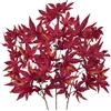Arborus Foglie d'acero rosso artificiale, 75,9 cm, steli autunnali | 3 foglie finte in acero bordeaux, foglie autunnali in seta, stelo per vaso, centrotavola, matrimonio, Halloween
