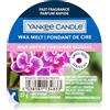 Yankee Candle Wild Orchid 22 g
