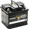 Magneti Marelli Batteria auto MAGNETI MARELLI 12 V 45 Ah 360 A/EN 067260028002 L 207mm L 175mm H 175mm NUOVO