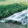 Verdemax Telo forzatura trasparente 2x10m