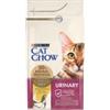Purina Crocchette per gatto adulto cat chow uht al pollo, 1,5 kg - purina