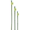 Verdemax Canna bamboo plastificata h 180cm