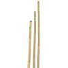 Verdemax Canna bamboo piena h180cm