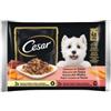 Cesar Alimento umido per cani cesar selezione in salsa manzo e carote 4 pz x 100 gr