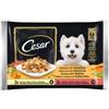 Cesar Alimento umido per cani cesar selezione in gelatina manzo e verdure 4 pz x 100 gr