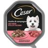 Cesar Alimento umido per cani cesar ricette di campagna con vitello e tacchino 150 gr