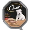 Cesar Alimento umido per cani cesar junior con tacchino e vitello 150 gr