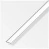 Alfer aluminium Barra piatta alluminio 15x2 - 1 metro.