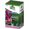 Blumen Integratore per orchidee in fiale 6x32 ml