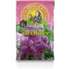 Euroterriflora Terriccio per orchidee euroterriflora 10 litri