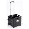 Essenza Carrello trasporto con cassa pieghevole portata 25 kg essenza 38x33x87 cm