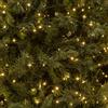 LOTTI IMPORTEX CATENA LINEARE 1000MINILED BIANCO CALDO