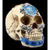 Totenkopf Ritter der Tafelrunde Sir Kay - Teschi Gotici Statuetta Decorativa